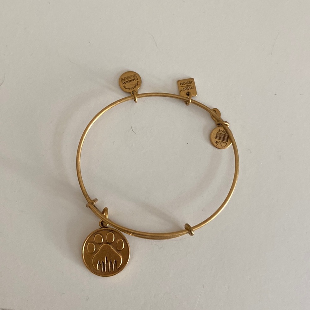 Alex and Ani bracelet